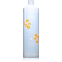 Echosline Hydrating Shampoo drėkinamasis šampūnas sausiems ir nepaklusniems plaukams 1000 ml