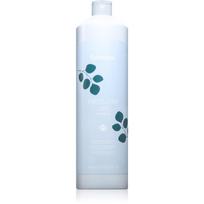 Echosline Frequent Shampoo kasdienis šampūnas 1000 ml