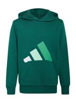 Adidas Sportswear - J Bl Ft Hd 280 - Džemperis - Žalia