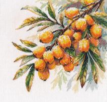 Kryželiu siuvinėjimo rinkinys Šaltalankių šakelė 17×17 cm, 16 ct drobė, 26 spalvos