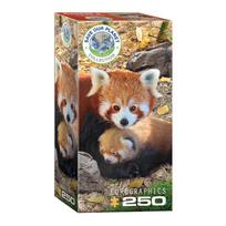 Ekologiška dėlionė „Raudonoji panda“ 250 detalių, 33x48 cm (Eurographics)
