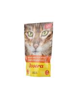 JOSERA Vištienos sriuba su morkomis ir špinatais 70 g