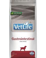 FARMINA Vet Life Gastrointestinal Dog 12 kg šunų ėdalas, skirtas šunims su virškinimo sutrikimais + 3 x FARMINA Vet Life Dental Treat Gastrointestinal Mini 60 g (7 vnt.) NEMOKAMAI!
