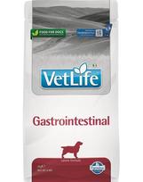 FARMINA Vet Life Gastrointestinal Dog 2 kg šunų maistas, skirtas tiems, kurie turi virškinimo problemų + FARMINA Vet Life Dental Treat Gastrointestinal Medium/Maxi 100 g (7 vnt.) NEMOKAMAI!