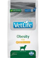 FARMINA Vet Life Obesity Fish maistas suaugusiems šunims 2 kg + FARMINA Vet Life Dental Treat Obesity Medium/Maxi 100 g (7 vnt) NEMOKAMAI !