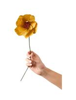 Studio About - Paper Flower - Džiovintos gėlės - Geltona