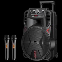 Newman N509 Portable Bluetooth Karaoke Speaker CN plug (adapter included)