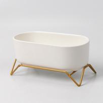 Small White Succulent Planter Pots with Bamboo Tray, Decorative Cactus Plant Holder Container for Home Office Table Desk Decor