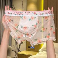 Mesh Men's Breathable Boxer Shorts - Transparent, Sexy, Quick-Drying, Summer Print