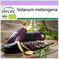 SAFLAX – Ekologiška – Baklažanai – Ilga violetinė – 20 sėklų – Solanum melongena