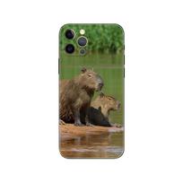 Capybara telefono dėklas, skirtas iphone 5 5s 2020se 6 6s 7 8 plus x 10 XR XS 11 12 13 mini pro MAX juodas tpu galinis dangtelis iphone 5 5S SE 2016