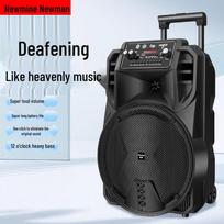 Newman N509 Portable Karaoke Trolley Speaker 12-inch CN plug (adapter included)