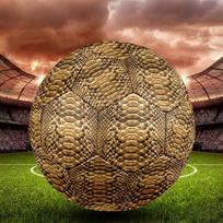 Leopard Snake Indoor Soccer Ball Size 5 Colorful All Ages Machine Stitched PVC Competition Ready Durable High-Bounce