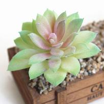 High-quality Artificial Succulent For Organic Style In Living Spaces #6 Dripping lotus