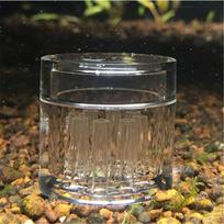 Snail Trap Transparent Leech Vivarium Planarian Pest Catch Pen red bee shrimp Worm Bait Feeding Box Aquarium Cleaner Tool
