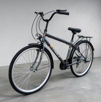 Miesto dviratis Strow 28", pilkas