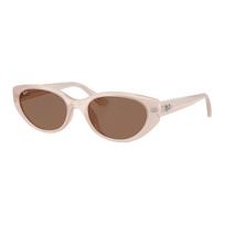 RayBan Temples Branded Injection Molded Irregular Sunglasses Unisex Couple Protein 55