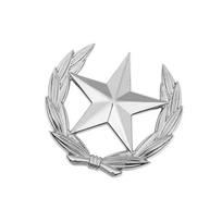 Stilinga kviečių ir žvaigždės emblemos sagė lydinio vintažinis segtukas kviečių žvaigždės sagė segtukas drabužių aksesuarams atlapo dekoras S sidabras