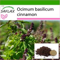 SAFLAX - Cinamoninis bazilikas - 200 sėklų - Su vazono substratu geresniam auginimui - Ocimum basilicum