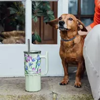 „Quokka Umi“ – nerūdijančio plieno termo puodelis 720 ml su šiaudeliu ir silikoniniu padėkliuku (Žalias arbata)