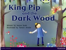 KNYGA Janine Scott Bug Club Raudona B (KS1) King Pip and the Dark Wood 6-pack