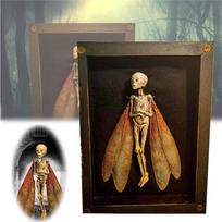 Prakeiktų daiktų „Dead Shadow Box“ ekranas rankų darbo baisus mumifikuotas lavono meno ornamentas