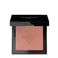 STENDHAL Illuminating Blush 302 Brun Petra 5.5g