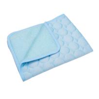 Pet Cooling Mat Ice Silk Cooling Pad for Dogs and Cats Breathable Non-Toxic Durable Cooling Mat Suitable for Indoor Outdoor Use XS šviesiai mėlyna spalva