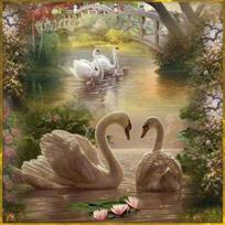 Diy Diamond Painting Cross Stitch  Goose Couple  Embroidery Patterns Rhinestone Adornment Picture Full Round 20x20CM