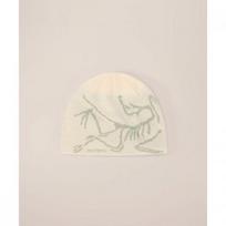 Arcteryx Bird Head Torque   Sea Salt Habitat FREE