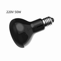 E27 Roplių šildymo lempa 25/50/75/100W UVA lempa Augintinių reikmenys Kaitinimosi šviesa Gyvatės buveinė IR 220V25W black