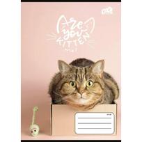 Cool by Victoria: Cats Forever linijinė A5 užrašų knygelė, įvairių rūšių
