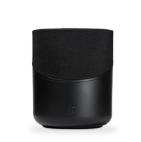 Garso kolonėlė Bluesound Pulse M, P230, juoda