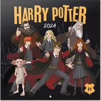 Harry Potter Haris Poteris - 2024 m. sieninis kalendorius (30 x 30 cm)