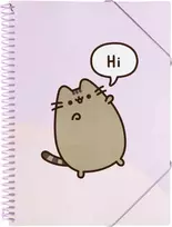 Pusheen - A4 A4 binder with elastic band + 30 transparent shirts