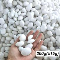 300g White Polished Natural River Pebbles 2-3cm - High-Gloss Decorative Stones for Planters, Aquariums, Terrariums ZSY