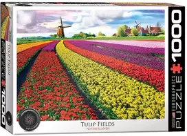 Tulip Eurographics 1000 detalių dėlionė „Tulpių laukai“ 67×49 cm – ryškus pavasario peizažas