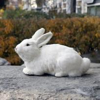 Gyvas Dirbtinio Kailio Triušio Žaislas Realistiška Triušio Lėlė Gyvūnų Figūrėlės Dovana Namų Dekoras Amatai Darbalaukio Papuošalai Fotografijos Rekvizitas