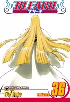 KNYGA Tite Kubo Bleach, Vol. 36