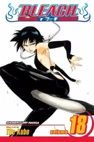 KNYGA Tite Kubo Bleach, Vol. 18