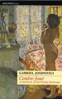 KNYGA Gabriel Josipovici Contre-Jour