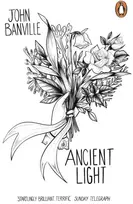 KNYGA John Banville Ancient Light