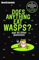 KNYGA Scientist New Does Anything Eat Wasps