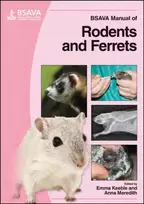 KNYGA Royal BSAVA Manual of Rodents and Ferrets