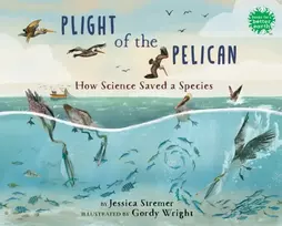 KNYGA Jessica Stremer Plight of the Pelican