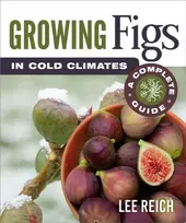 KNYGA Lee Reich Growing Figs in Cold Climates