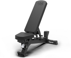 Universalus suoliukas Tiguar Adjustable Training Bench