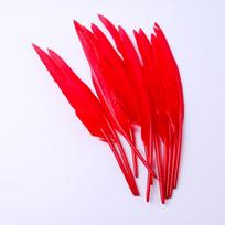 Diy Hunchback Big Feather Wedding Crafts Wing Pen Diy Jewelry Accessories Handmade Decorative Materials