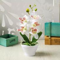 Elegantiškas šilkinis orchidėjos augalas vazone namų sodo biuro dekoravimui