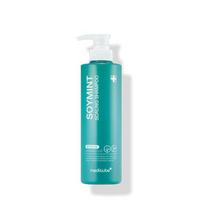 MEDICUBE Soymint Scaling Shampoo 490ml P000DXUS - Shampoo